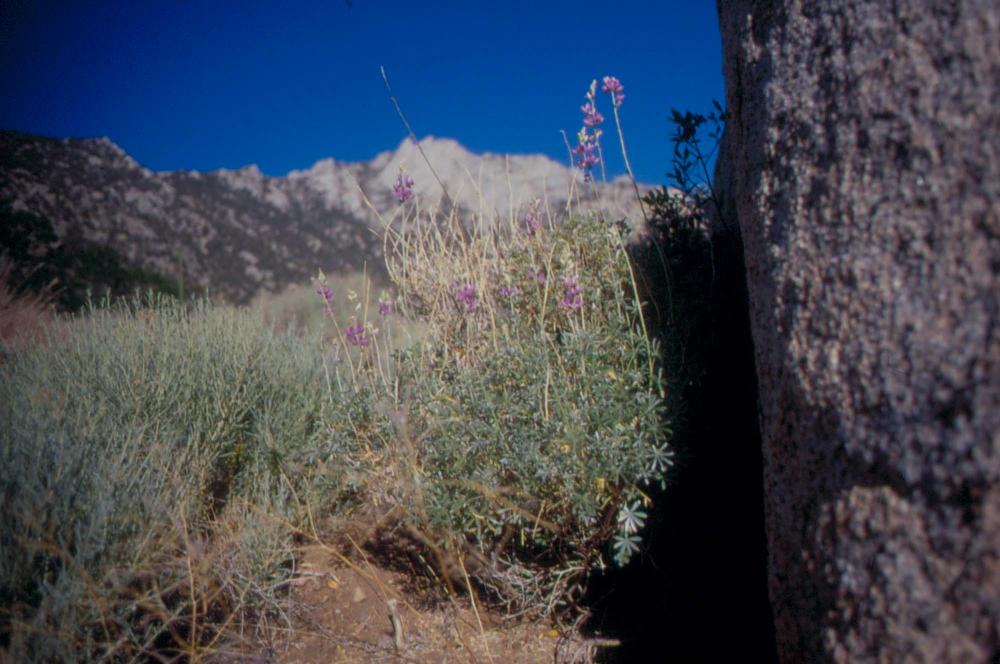 김차섭이 촬영한 국내외 풍경 사진