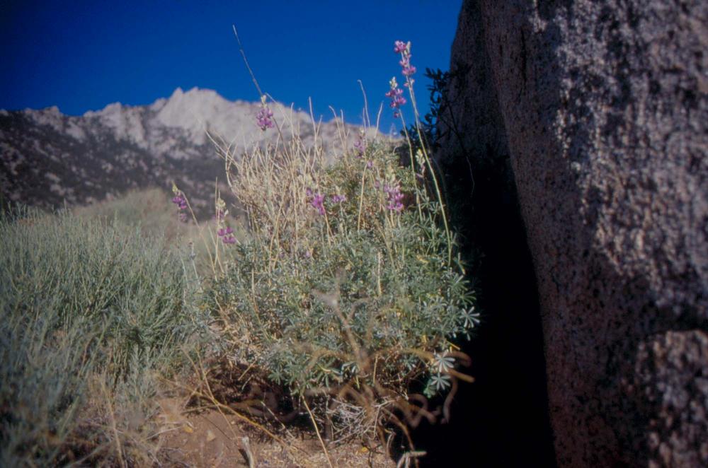 김차섭이 촬영한 국내외 풍경 사진