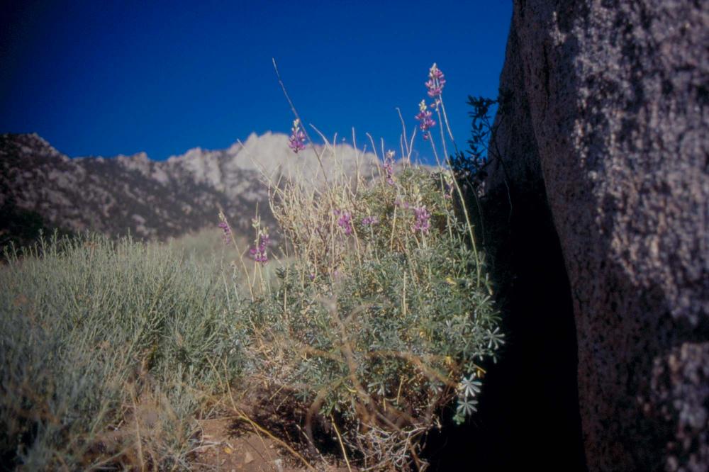 김차섭이 촬영한 국내외 풍경 사진