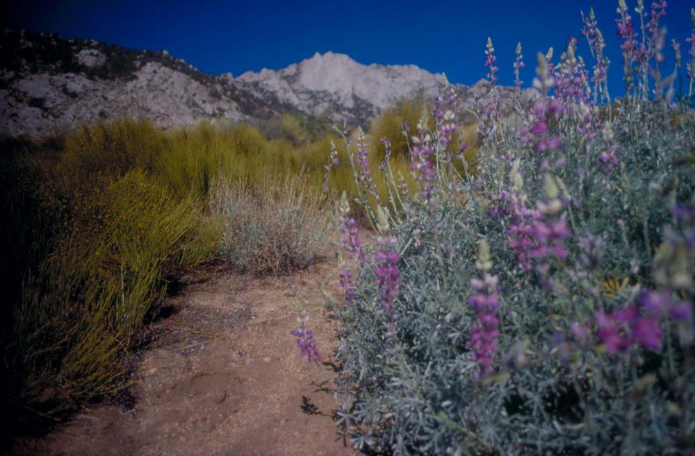 김차섭이 촬영한 국내외 풍경 사진