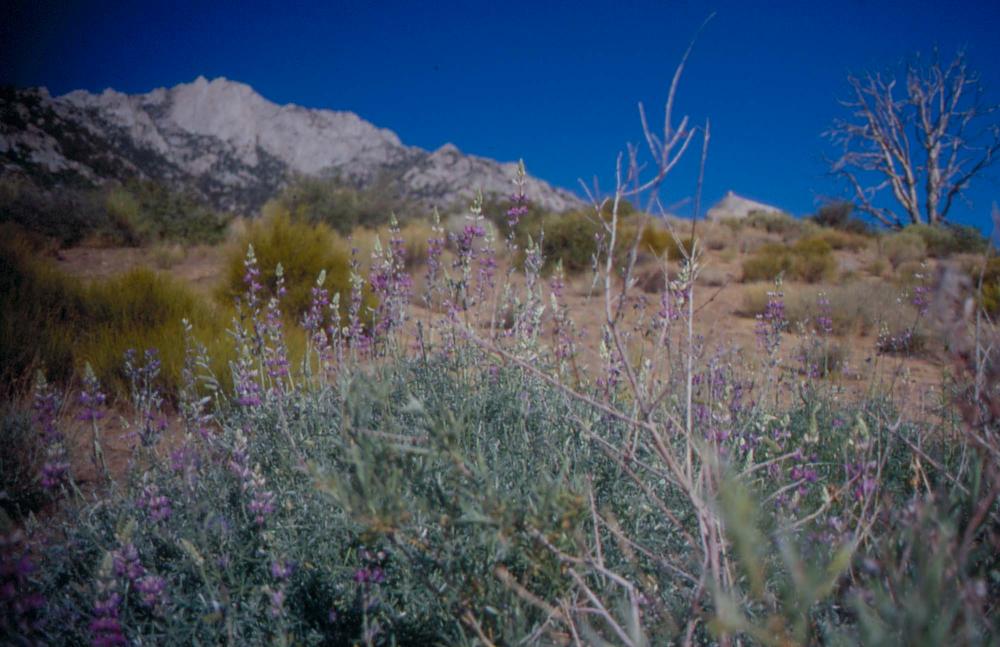 김차섭이 촬영한 국내외 풍경 사진