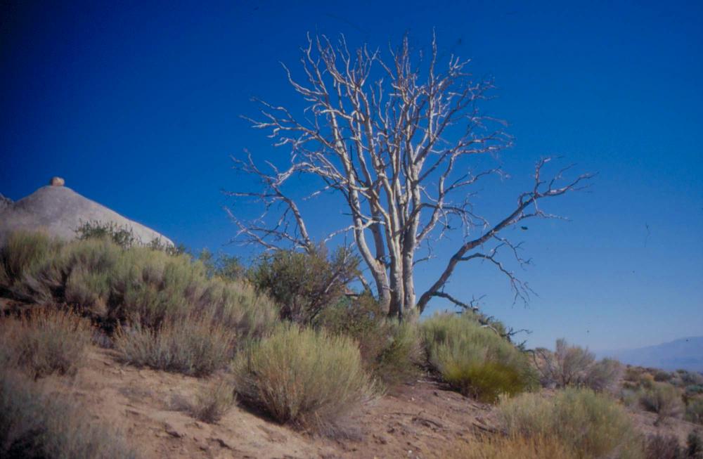 김차섭이 촬영한 국내외 풍경 사진
