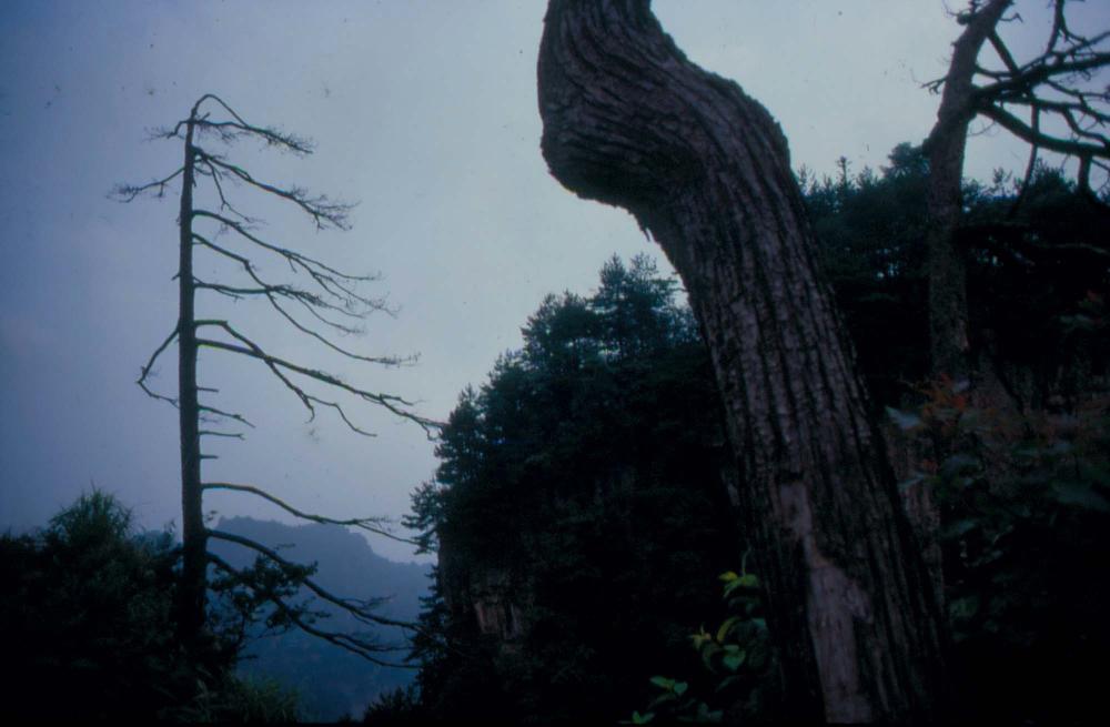 김차섭이 촬영한 국내외 풍경 사진