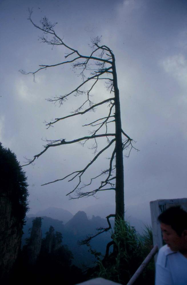 김차섭이 촬영한 국내외 풍경 사진