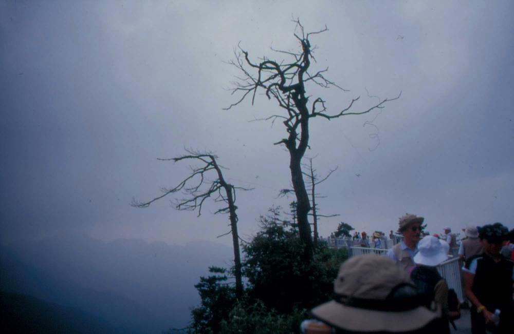 김차섭이 촬영한 국내외 풍경 사진