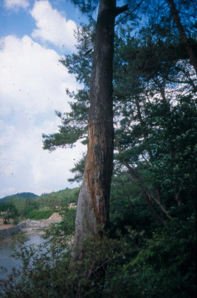 김차섭이 촬영한 국내외 풍경 사진