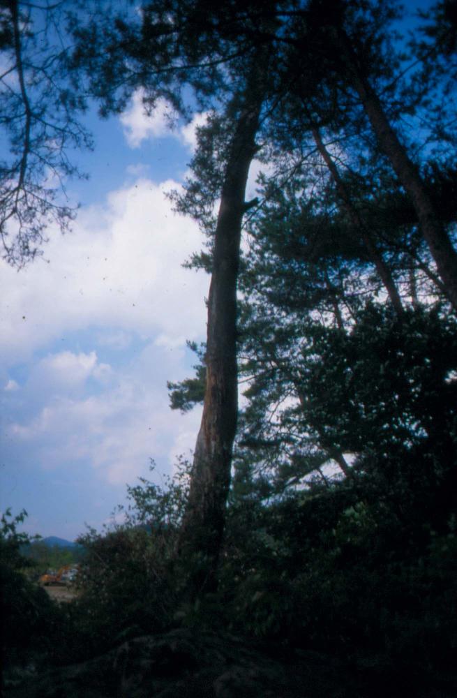 김차섭이 촬영한 국내외 풍경 사진