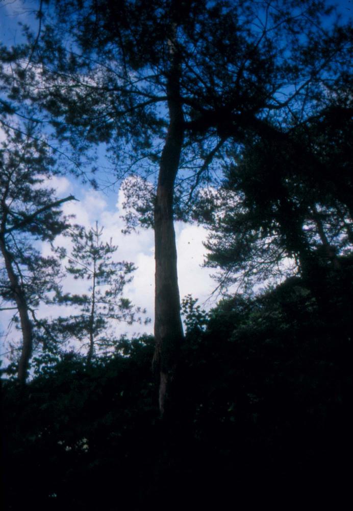 김차섭이 촬영한 국내외 풍경 사진