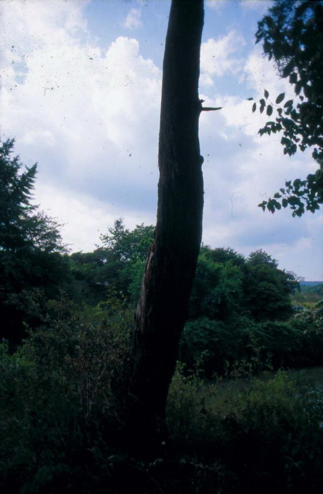 김차섭이 촬영한 국내외 풍경 사진