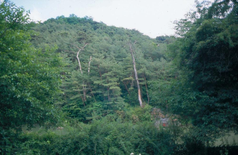 김차섭이 촬영한 국내외 풍경 사진