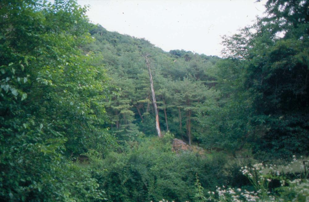김차섭이 촬영한 국내외 풍경 사진