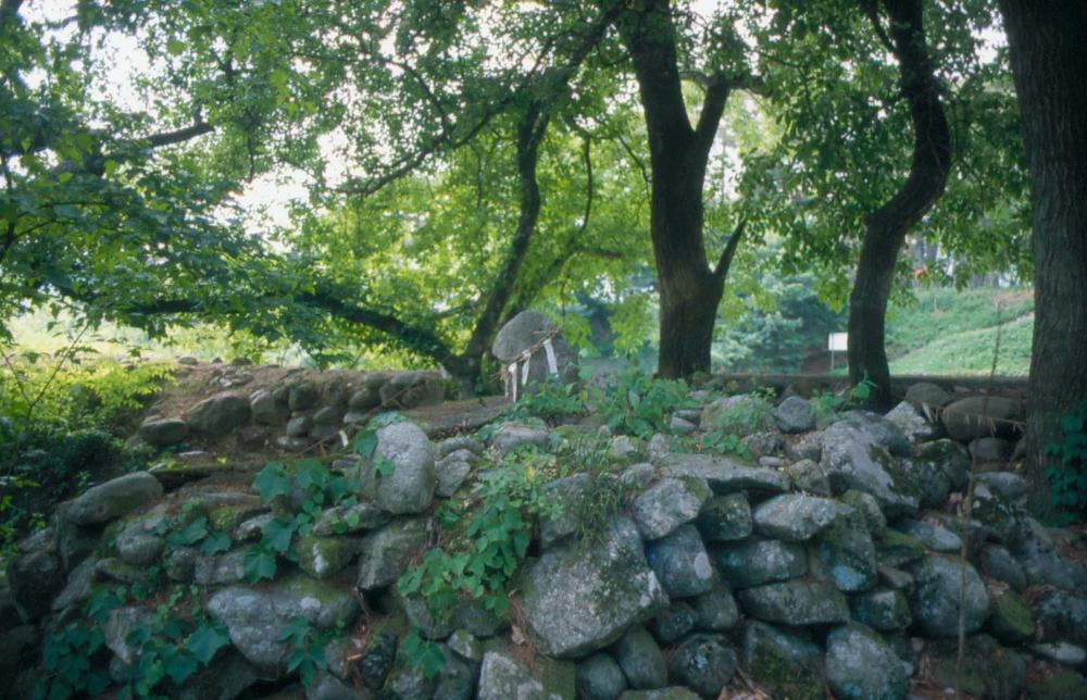 김차섭이 촬영한 국내외 풍경 사진