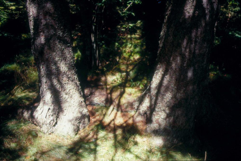 김차섭이 촬영한 국내외 풍경 사진