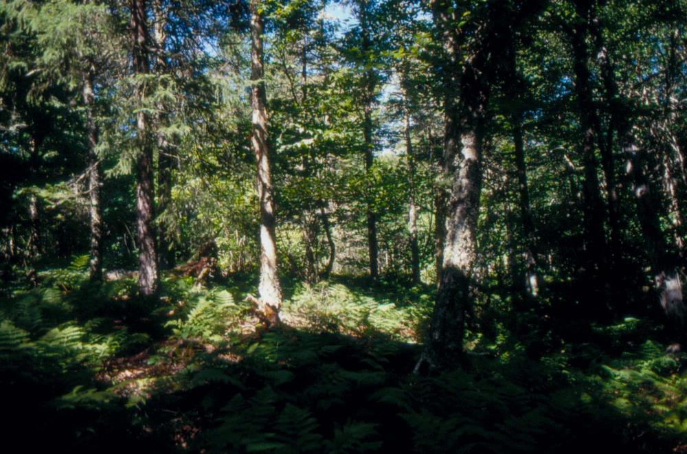 김차섭이 촬영한 국내외 풍경 사진