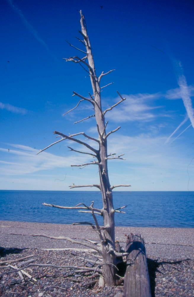 김차섭이 촬영한 국내외 풍경 사진