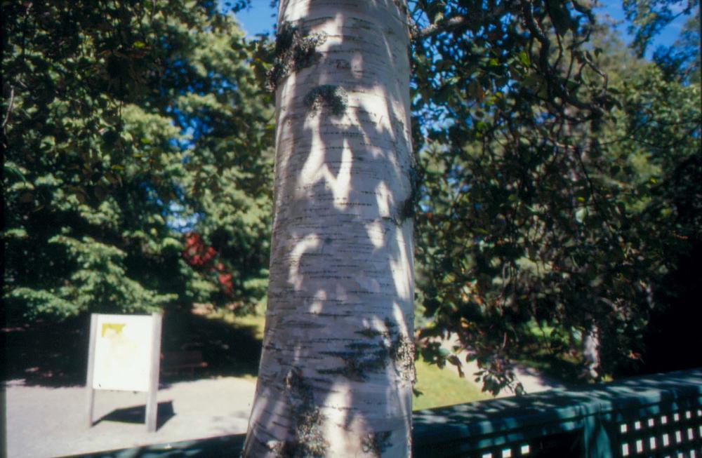 김차섭이 촬영한 국내외 풍경 사진