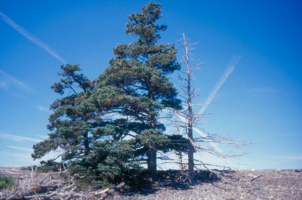 김차섭이 촬영한 국내외 풍경 사진