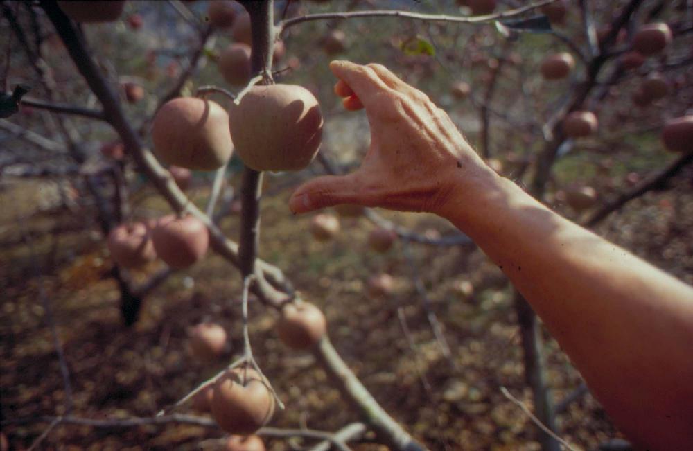 김차섭이 촬영한 국내외 풍경 사진
