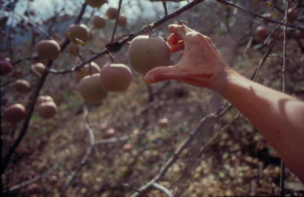 김차섭이 촬영한 국내외 풍경 사진