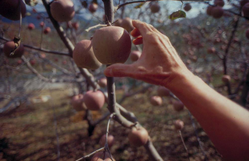 김차섭이 촬영한 국내외 풍경 사진