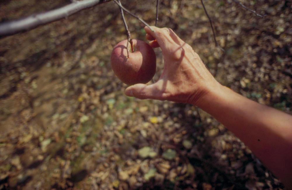 김차섭이 촬영한 국내외 풍경 사진