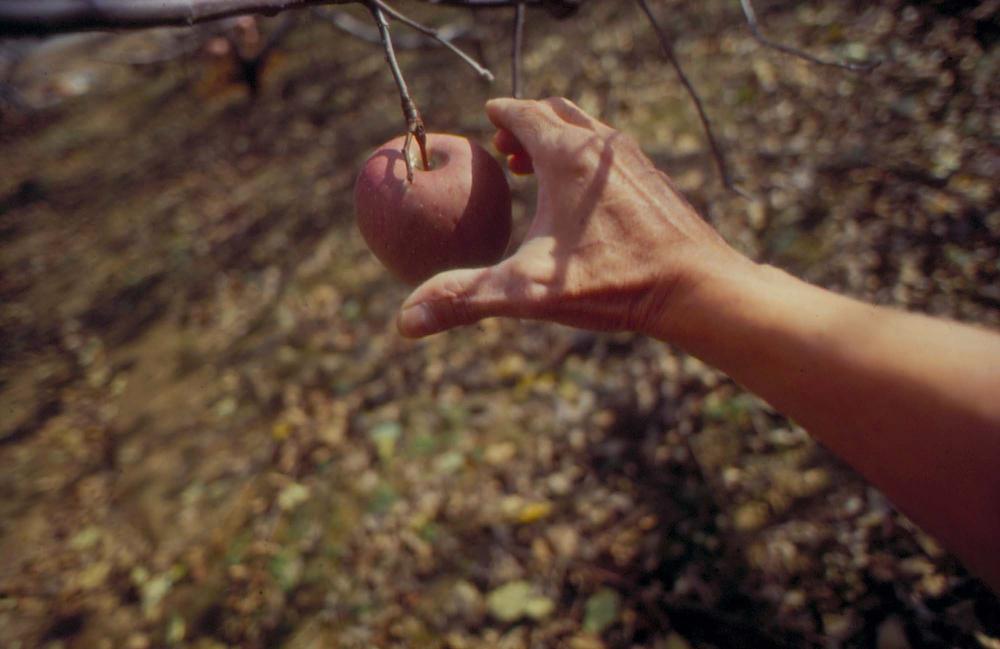 김차섭이 촬영한 국내외 풍경 사진