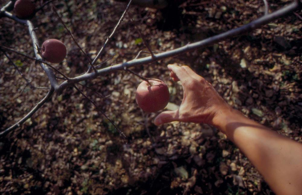 김차섭이 촬영한 국내외 풍경 사진
