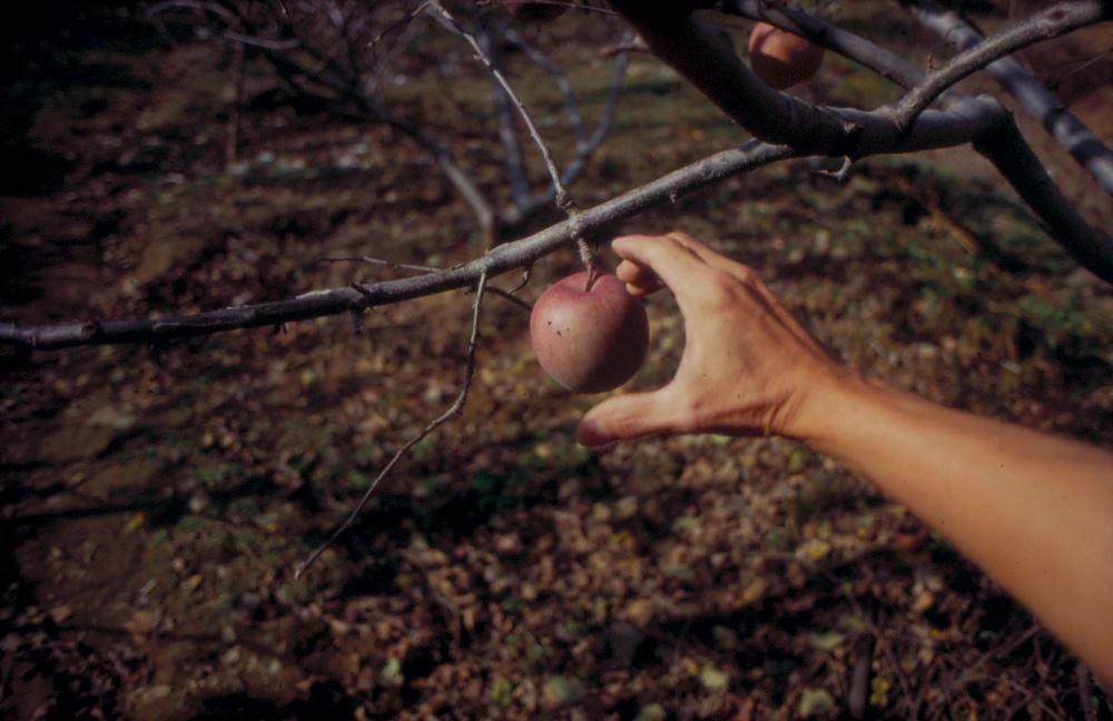 김차섭이 촬영한 국내외 풍경 사진
