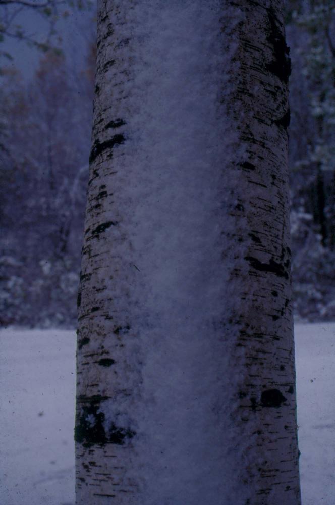 김차섭이 촬영한 국내외 풍경 사진