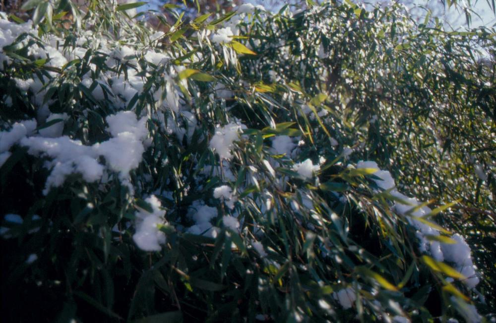 김차섭이 촬영한 국내외 풍경 사진