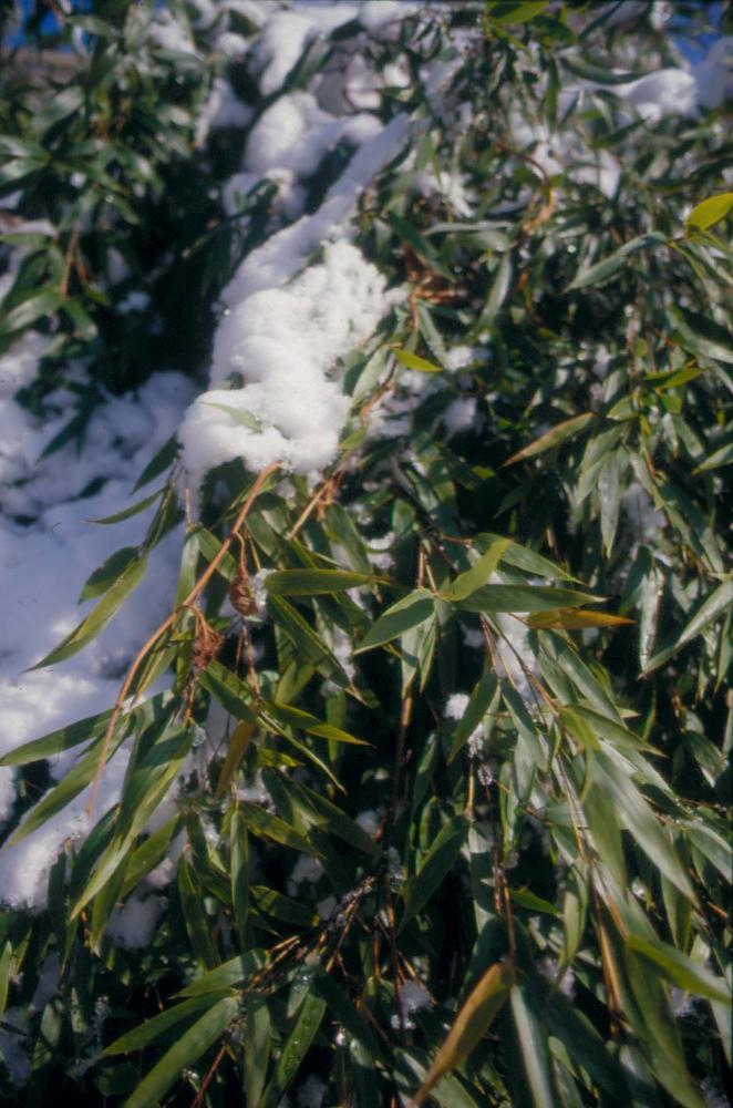김차섭이 촬영한 국내외 풍경 사진
