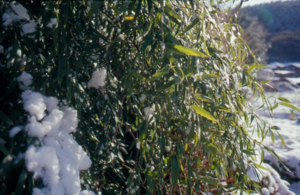 김차섭이 촬영한 국내외 풍경 사진