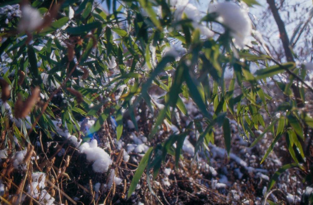 김차섭이 촬영한 국내외 풍경 사진