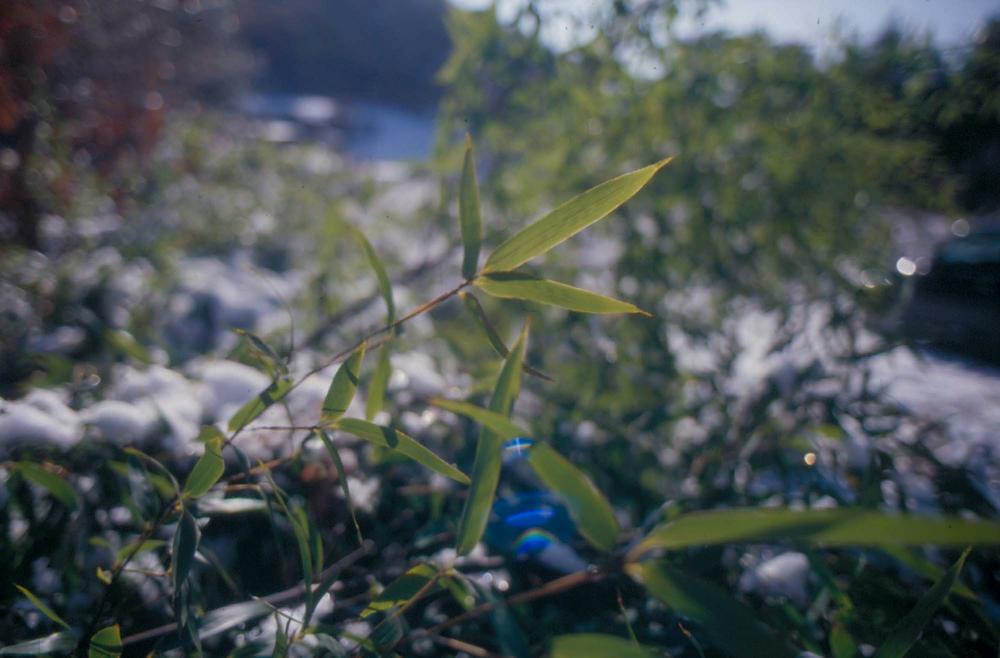 김차섭이 촬영한 국내외 풍경 사진