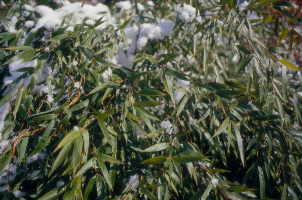 김차섭이 촬영한 국내외 풍경 사진