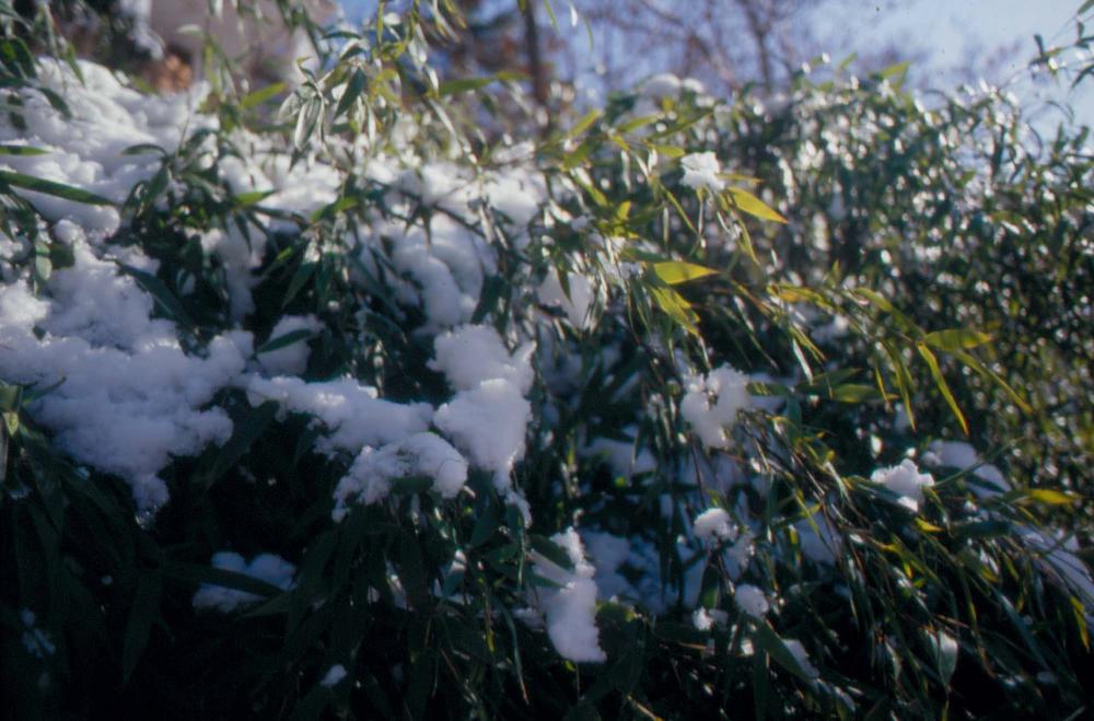 김차섭이 촬영한 국내외 풍경 사진