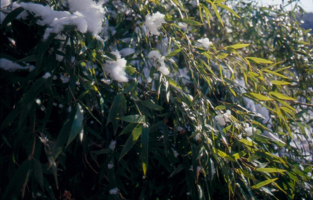 김차섭이 촬영한 국내외 풍경 사진