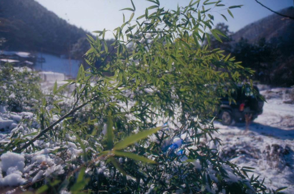 김차섭이 촬영한 국내외 풍경 사진