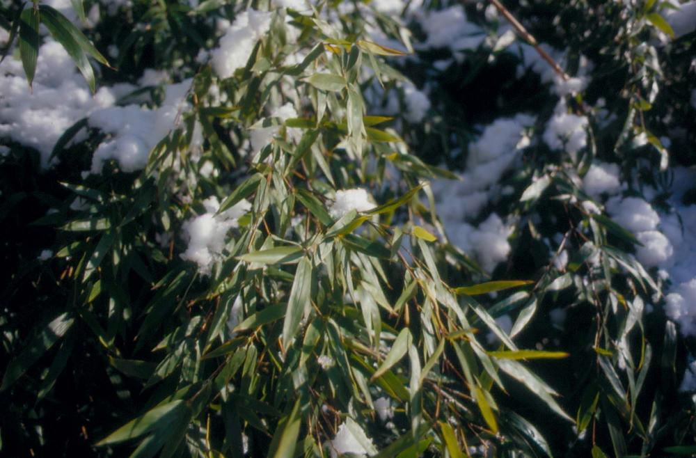 김차섭이 촬영한 국내외 풍경 사진