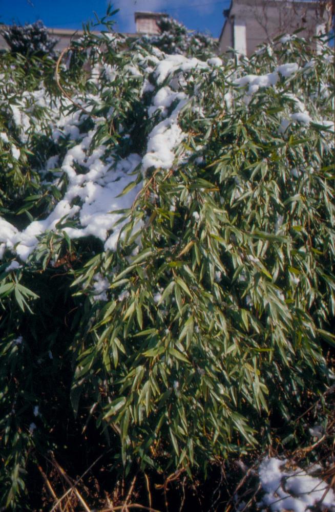 김차섭이 촬영한 국내외 풍경 사진