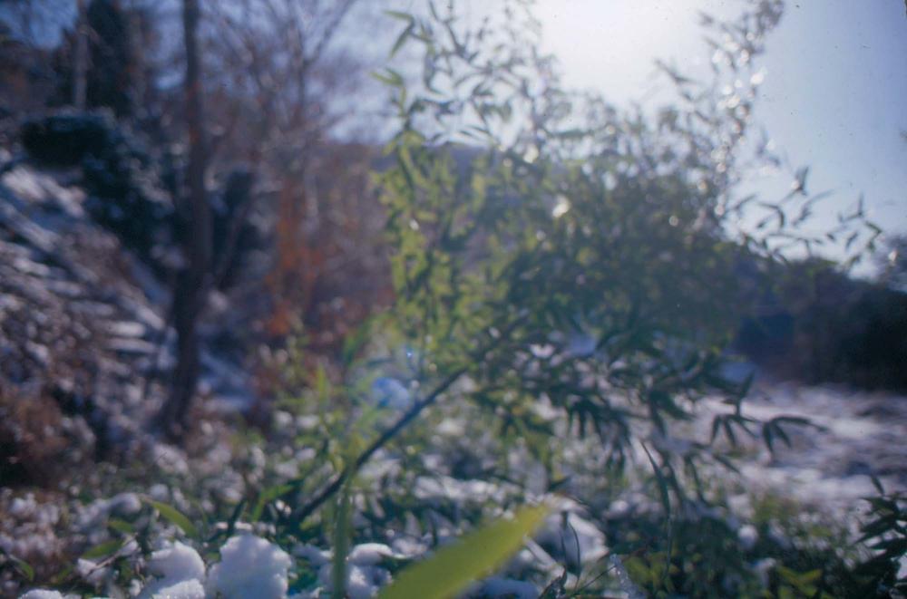 김차섭이 촬영한 국내외 풍경 사진