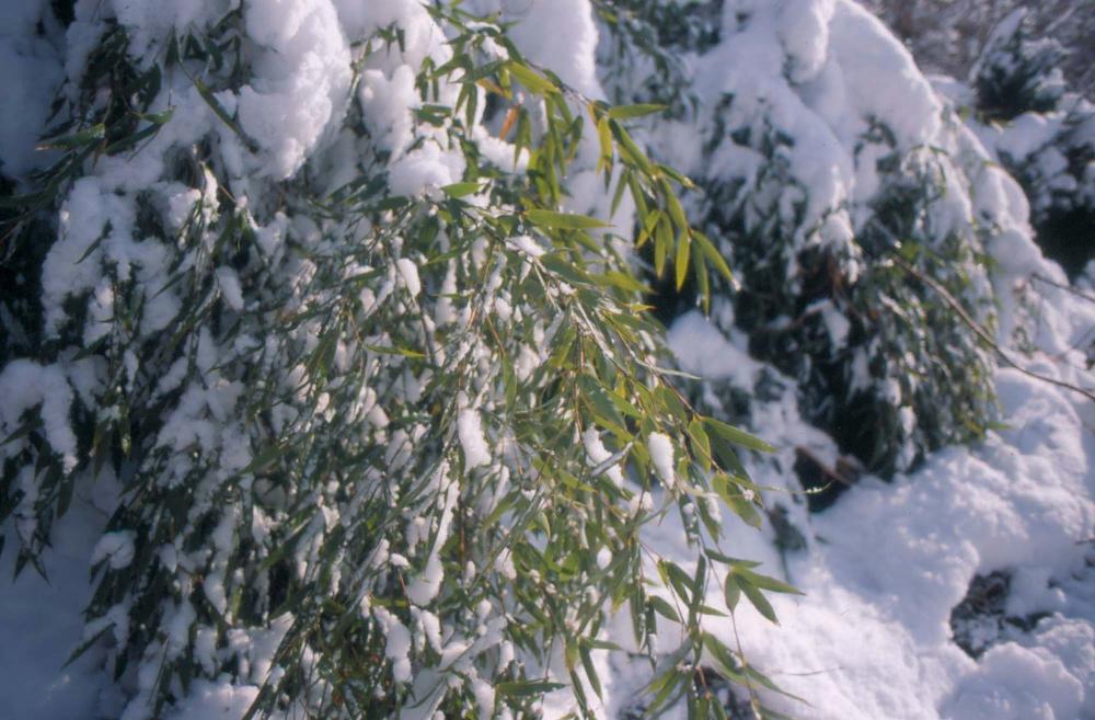 김차섭이 촬영한 국내외 풍경 사진