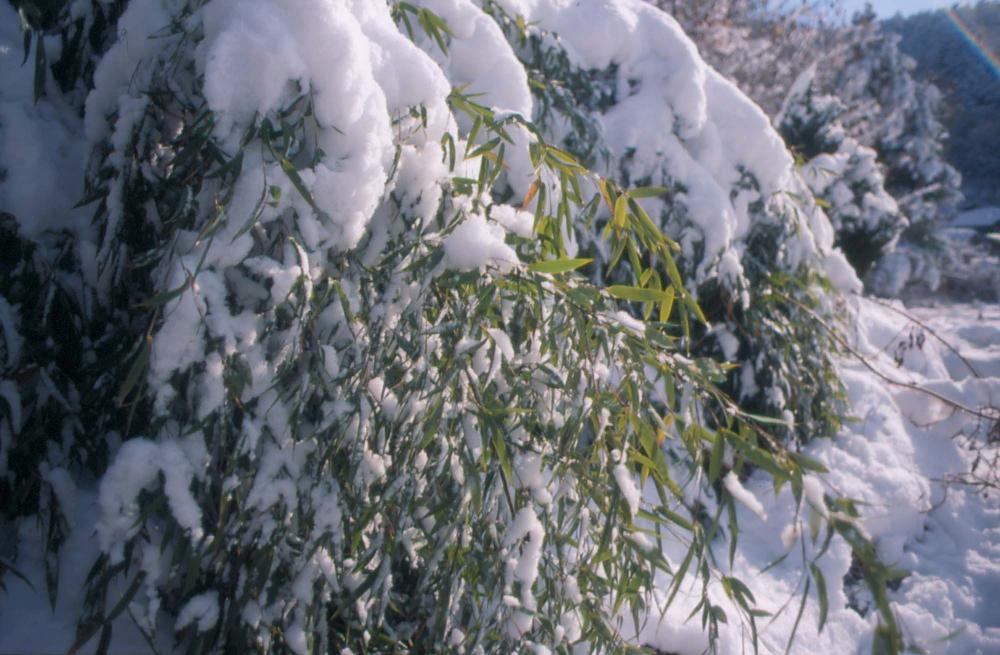 김차섭이 촬영한 국내외 풍경 사진