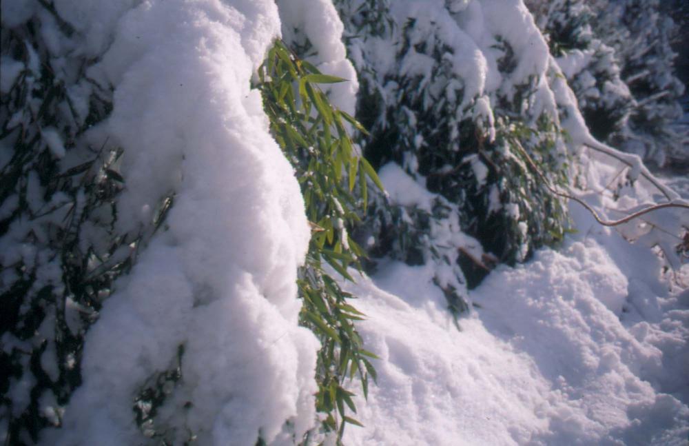김차섭이 촬영한 국내외 풍경 사진
