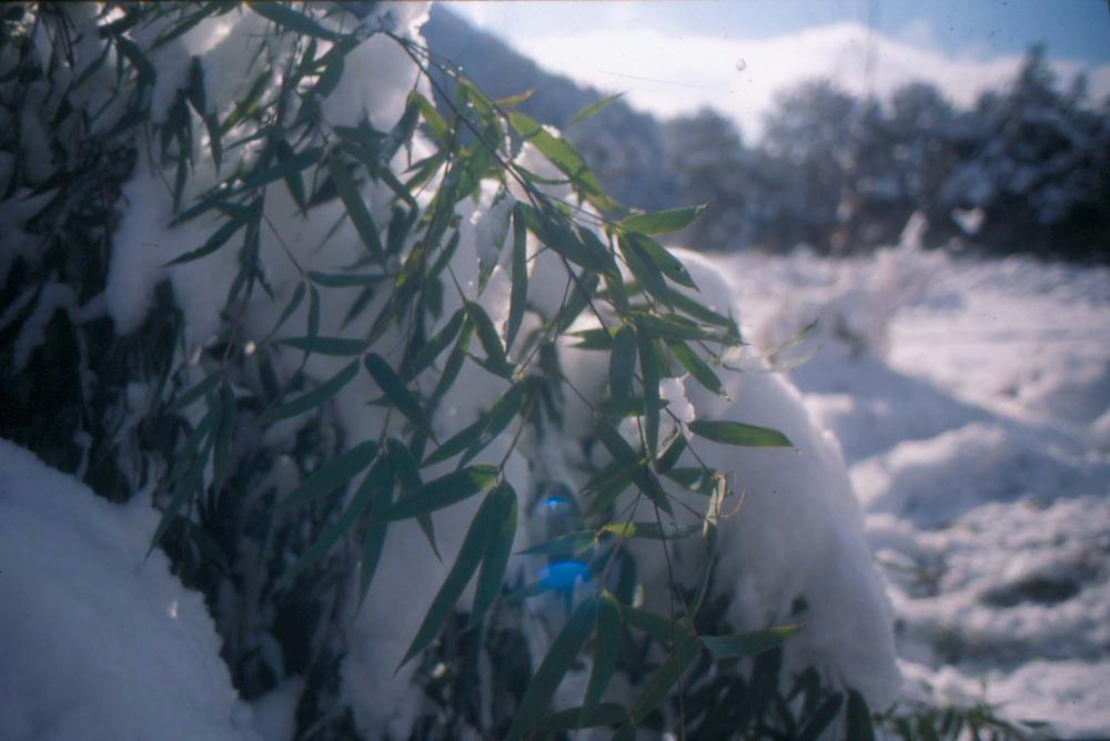 김차섭이 촬영한 국내외 풍경 사진