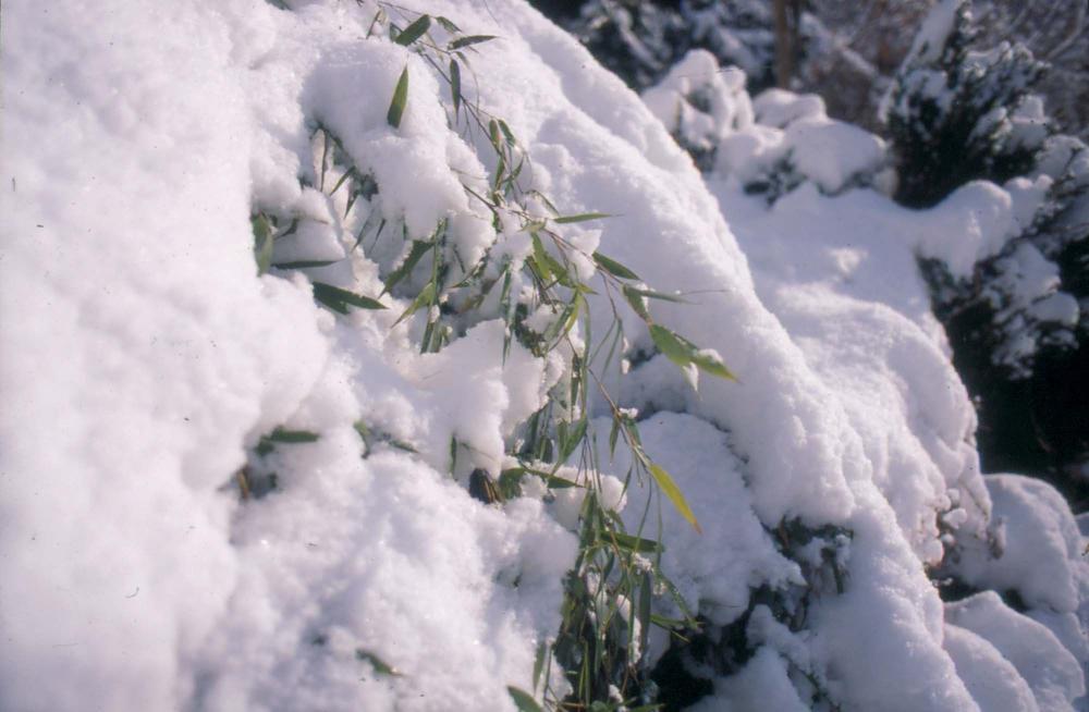 김차섭이 촬영한 국내외 풍경 사진