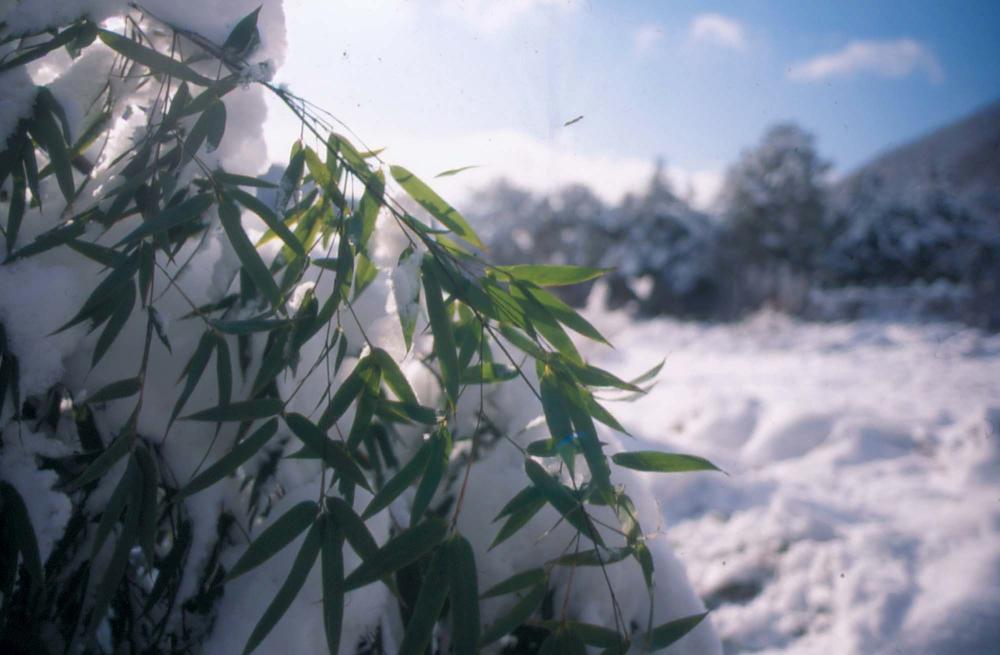 김차섭이 촬영한 국내외 풍경 사진