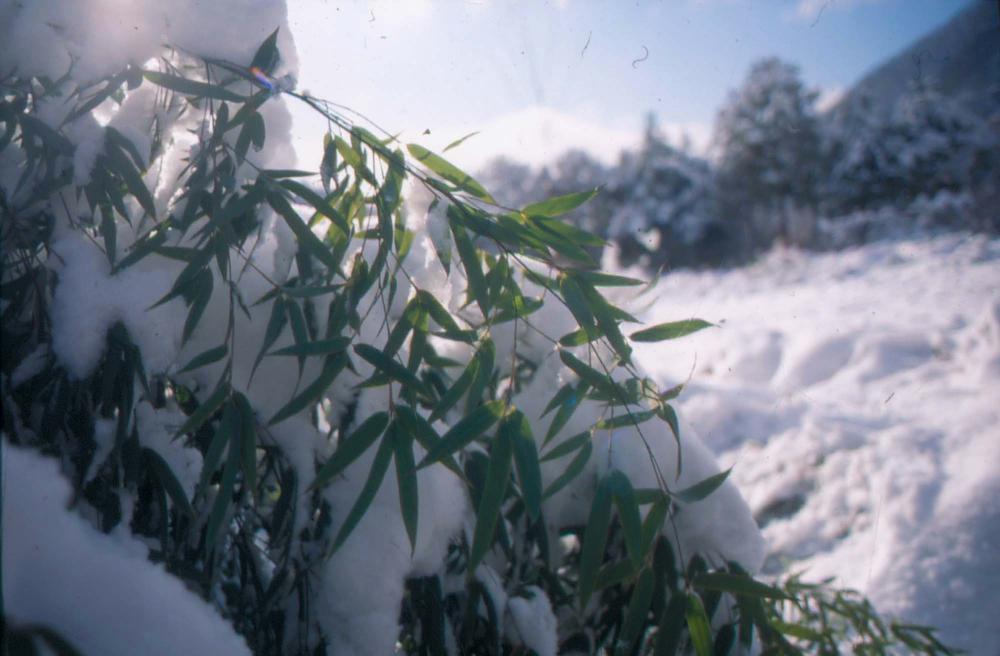 김차섭이 촬영한 국내외 풍경 사진