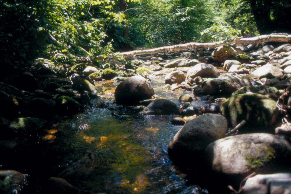 김차섭이 촬영한 국내외 풍경 사진