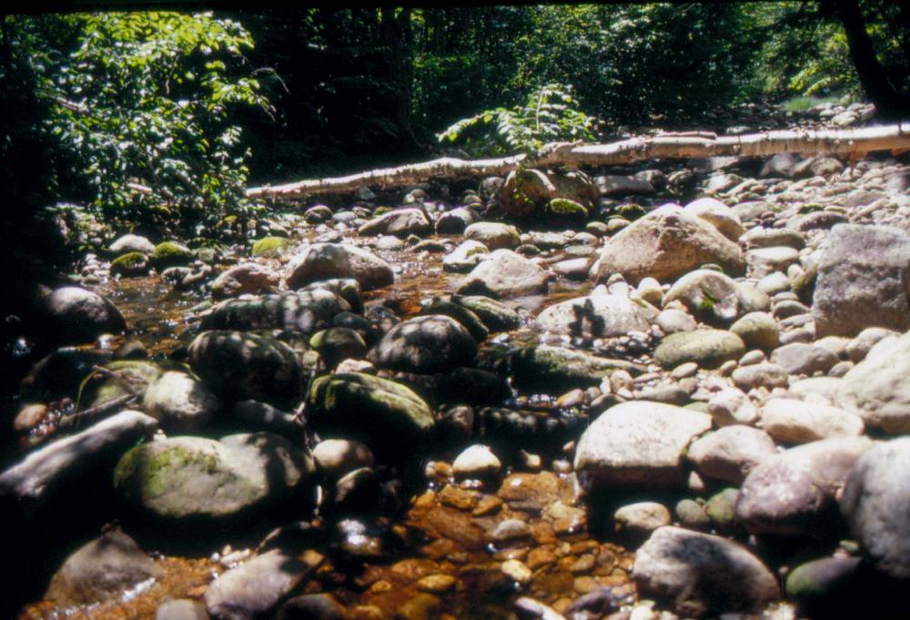 김차섭이 촬영한 국내외 풍경 사진